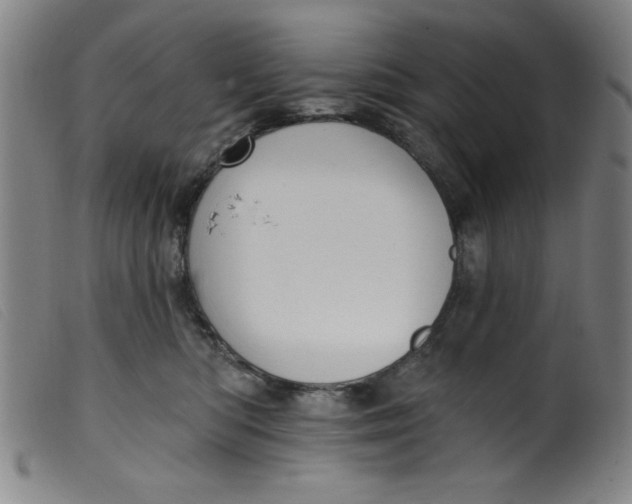 X0000099320422200805161405