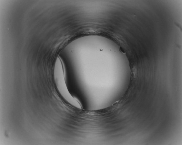 X0000099320423200805161405