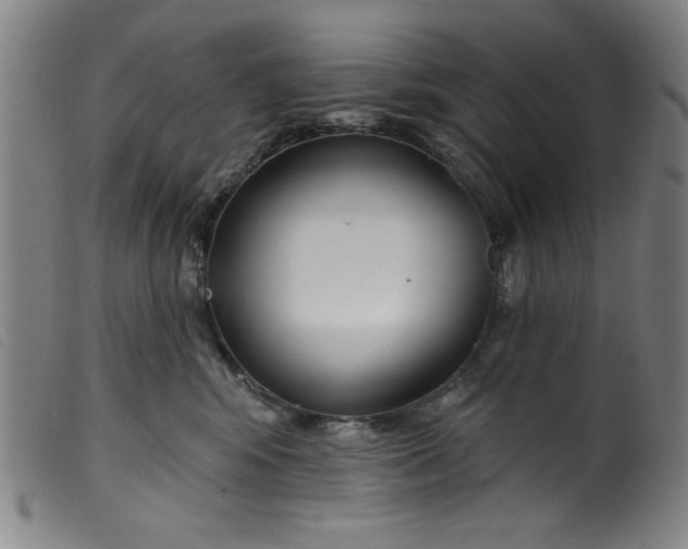 X0000099320424200805161405