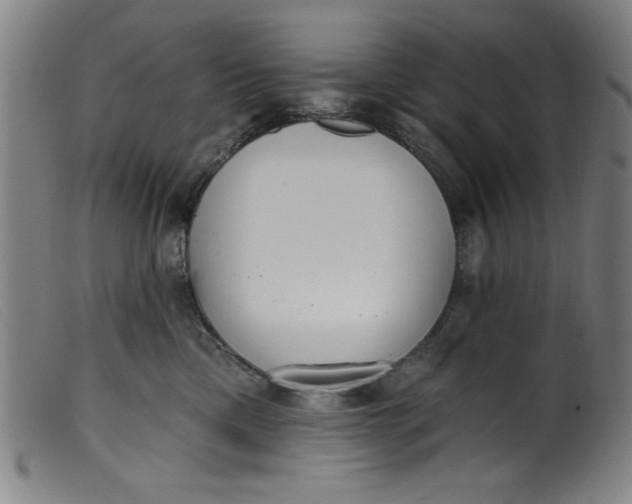 X0000099320425200805161405