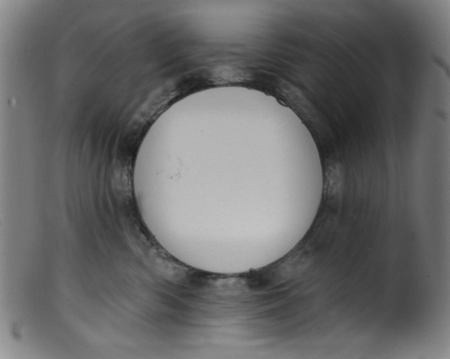 X0000099320426200805161405