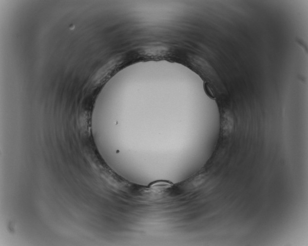 X0000099320428200805161405