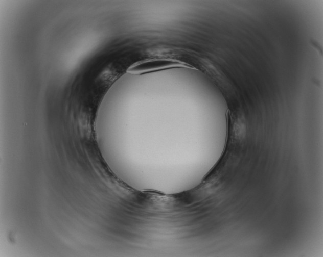 X0000099320429200805161405