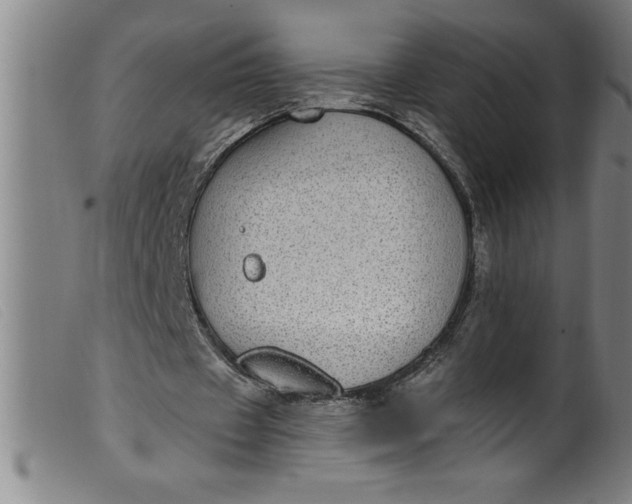 X0000099320433200805161404