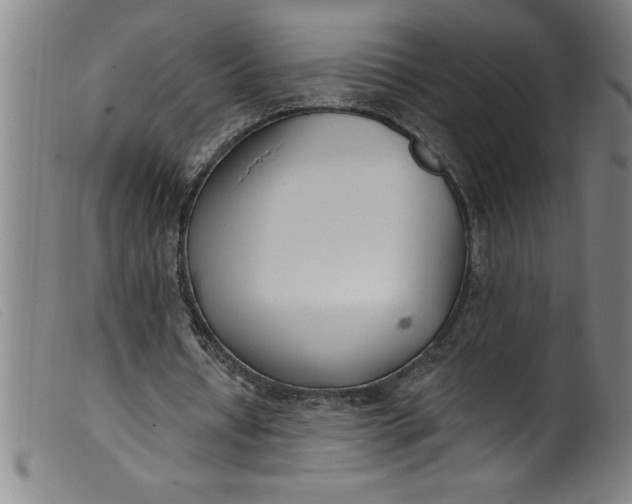 X0000099320434200805161404