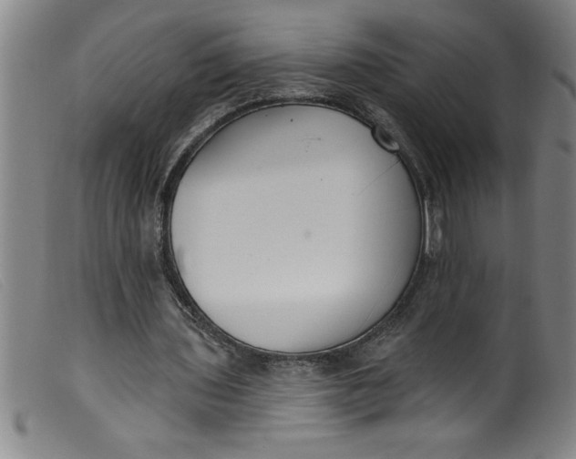 X0000099320435200805161404