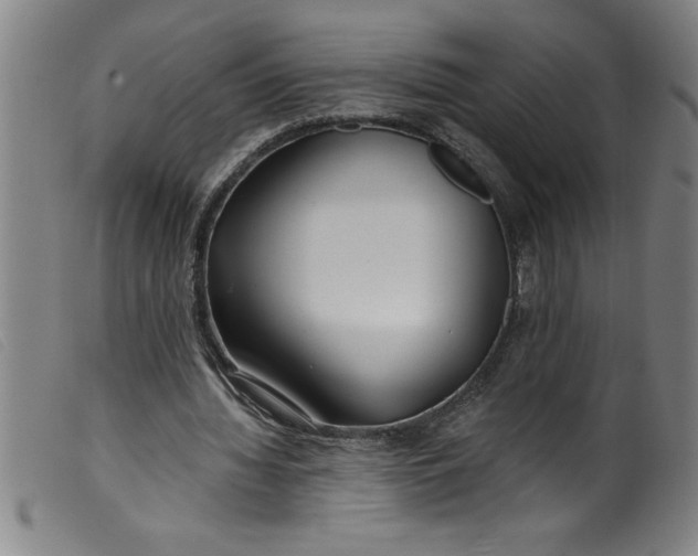 X0000099320436200805161404