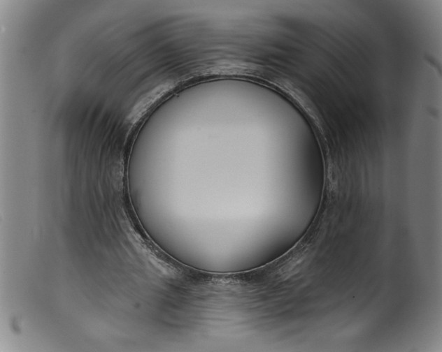 X0000099320437200805161404