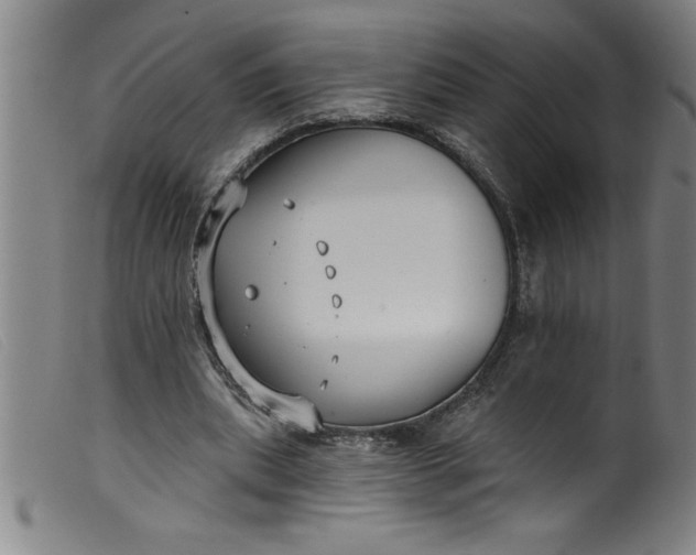 X0000099320439200805161404