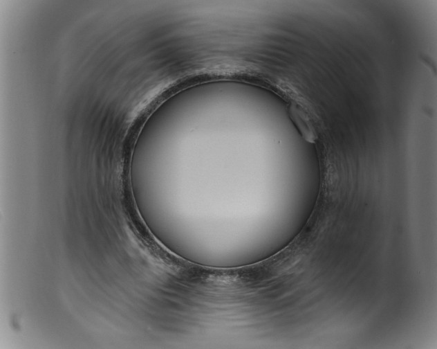 X0000099320440200805161404