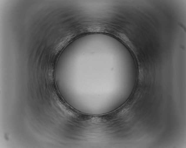 X0000099320441200805161404