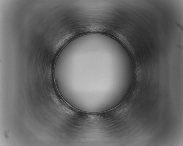 X0000099320442200805161404