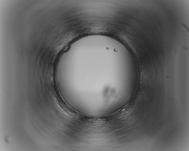 X0000099320443200805161404