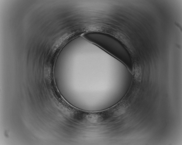 X0000099320444200805161404