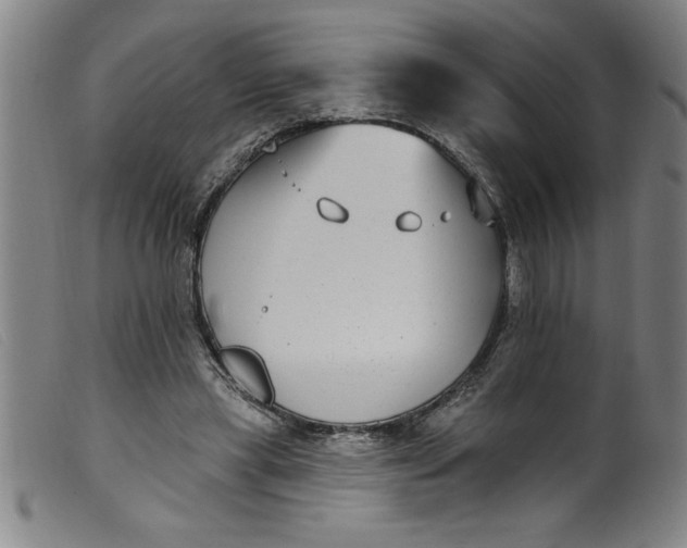 X0000099320445200805161404