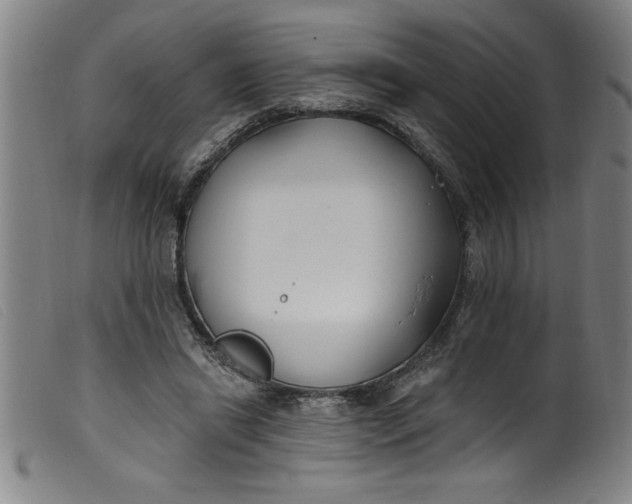 X0000099320446200805161404