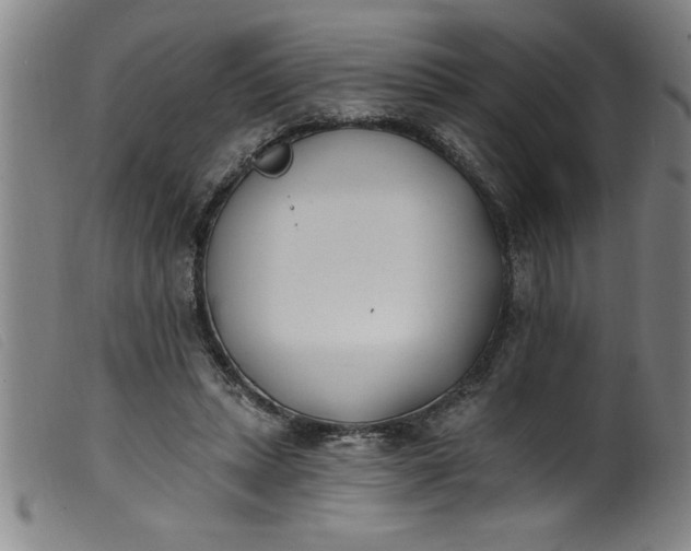 X0000099320447200805161404