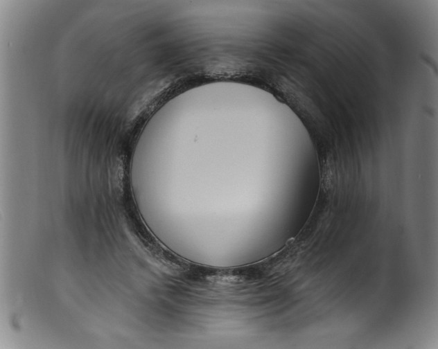 X0000099320448200805161404