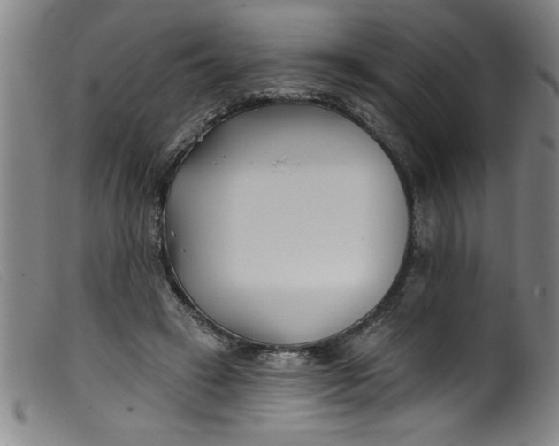 X0000099320449200805161404