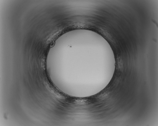 X0000099320450200805161404