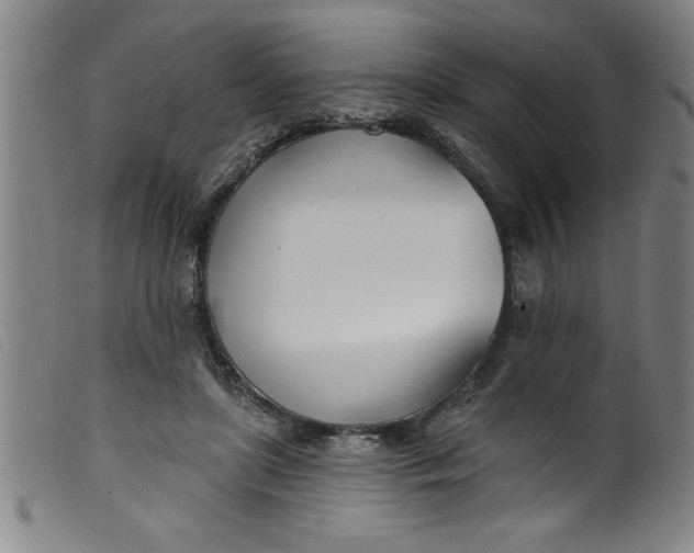 X0000099320451200805161404