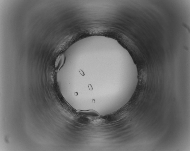 X0000099320452200805161404