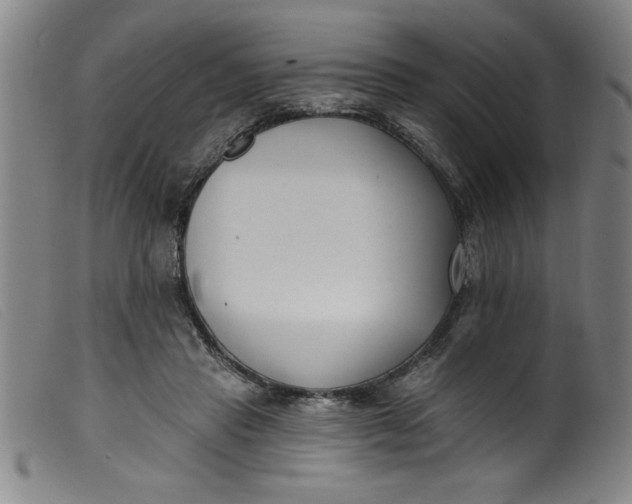 X0000099320453200805161404