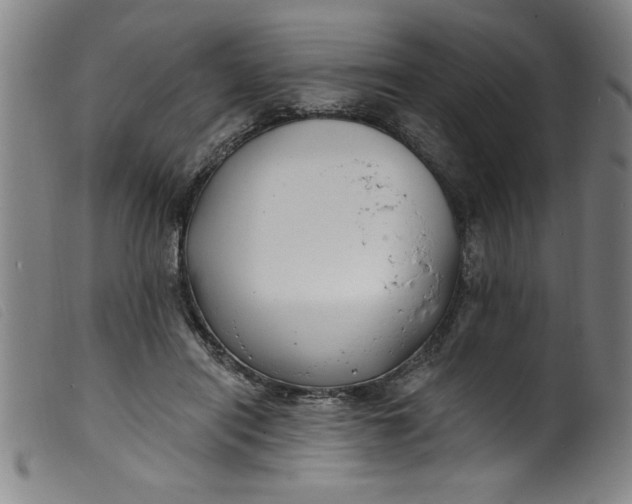 X0000099320454200805161404