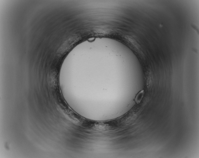 X0000099320455200805161404