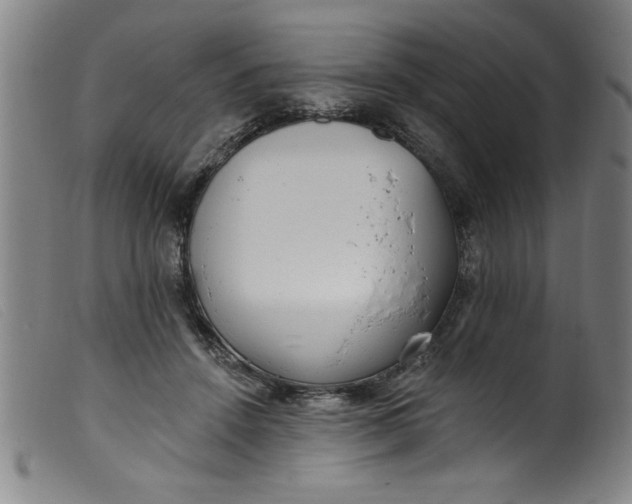 X0000099320456200805161404