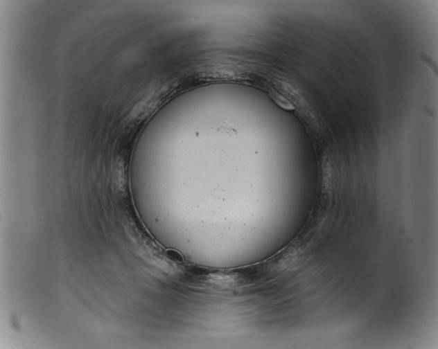 X0000099320457200805161404