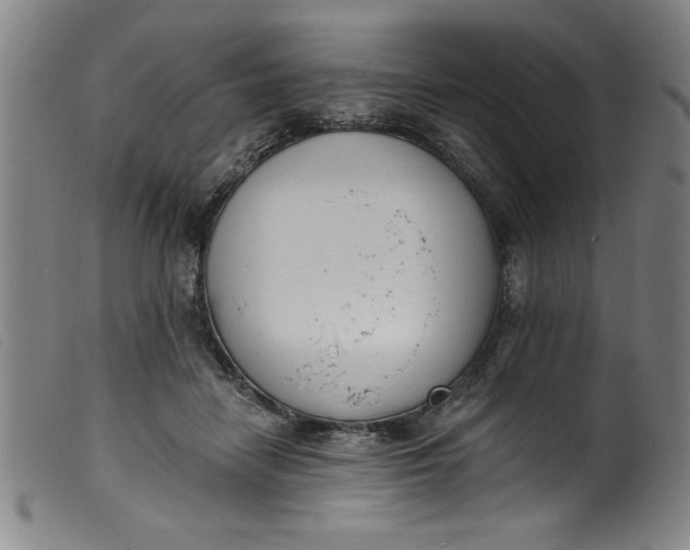 X0000099320458200805161404