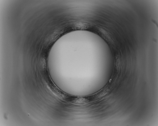 X0000099320459200805161404