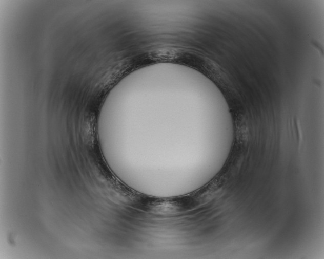 X0000099320460200805161404