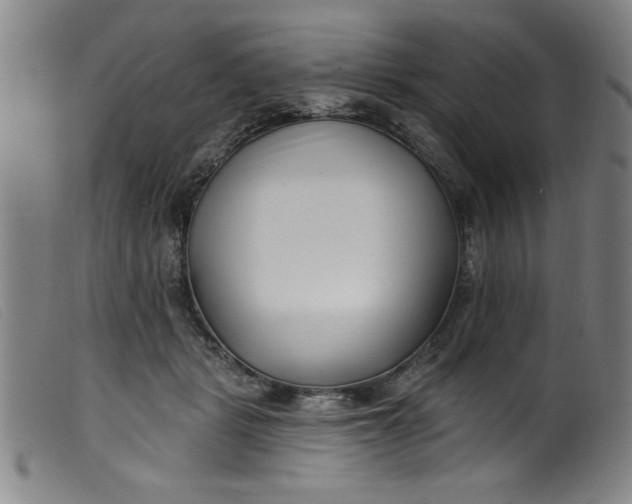 X0000099320461200805161404