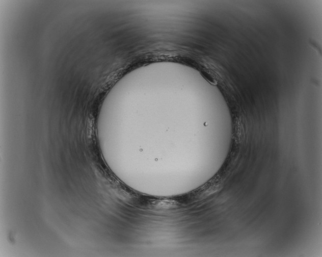 X0000099320463200805161405