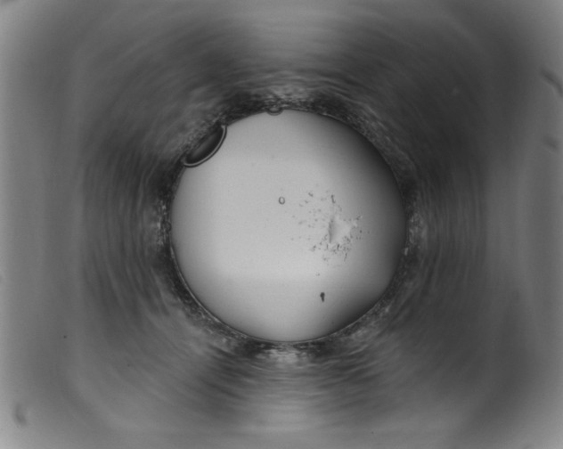 X0000099320464200805161405