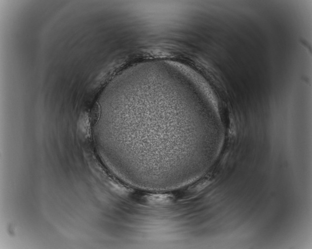 X0000099320465200805161405