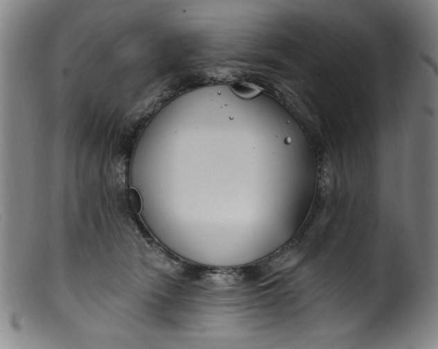 X0000099320466200805161405