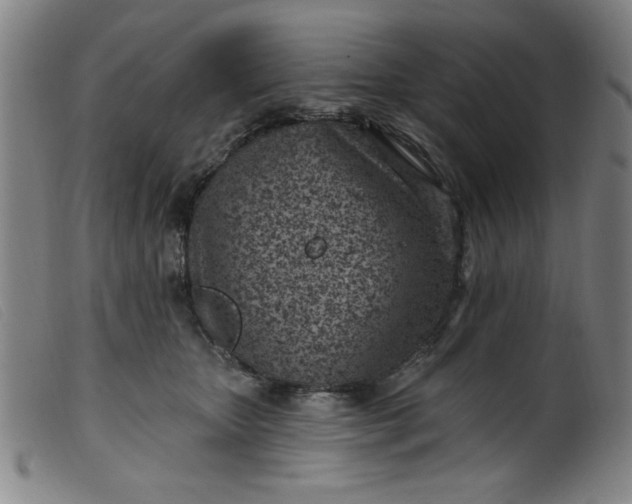 X0000099320467200805161405