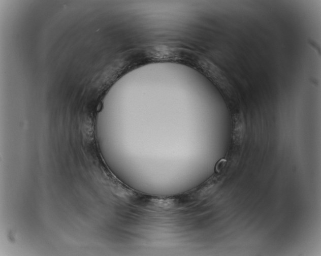 X0000099320469200805161405