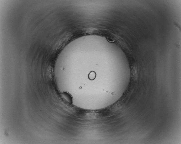 X0000099320470200805161405