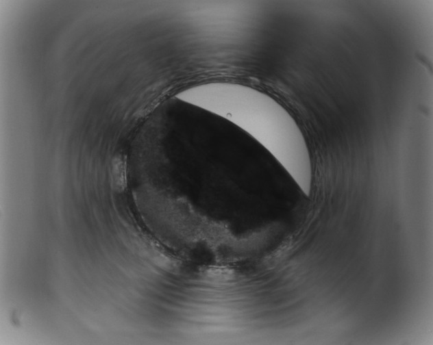 X0000099320471200805161405