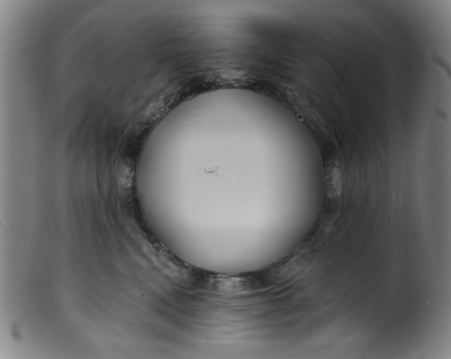 X0000099320472200805161405