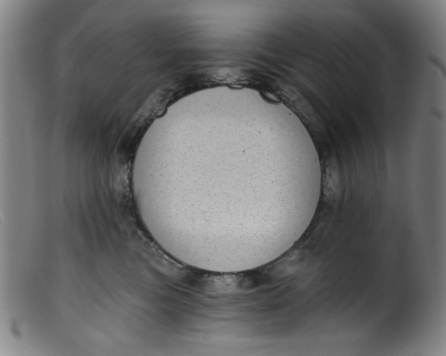 X0000099320473200805161405