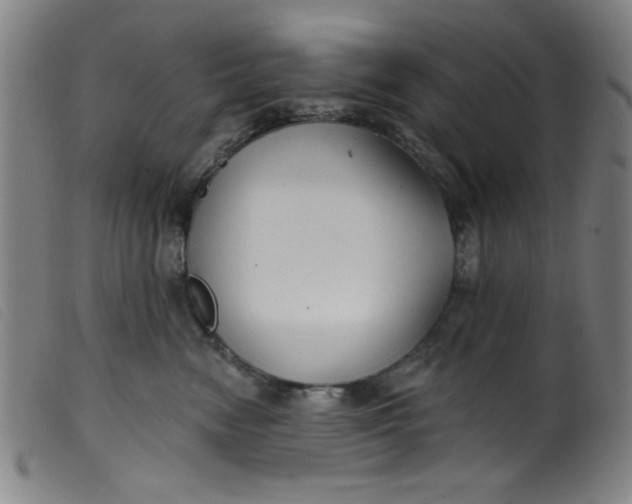 X0000099320474200805161405