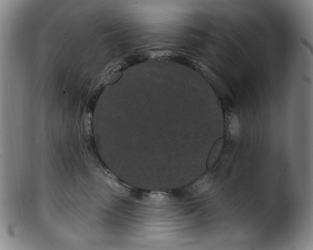 X0000099320475200805161405