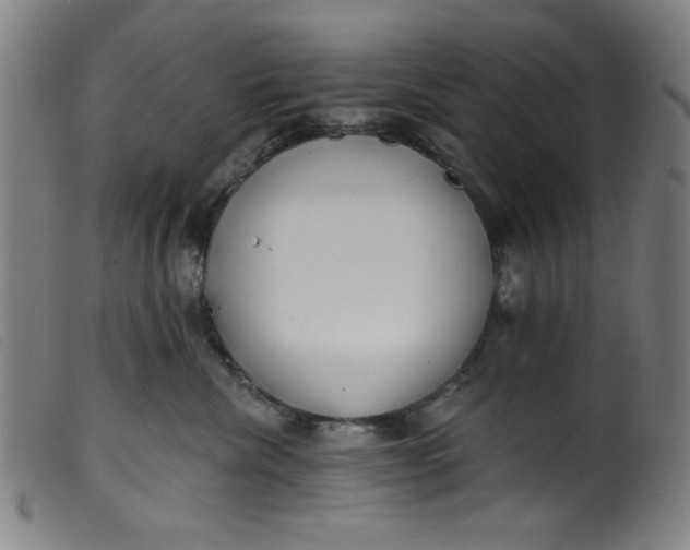 X0000099320476200805161405