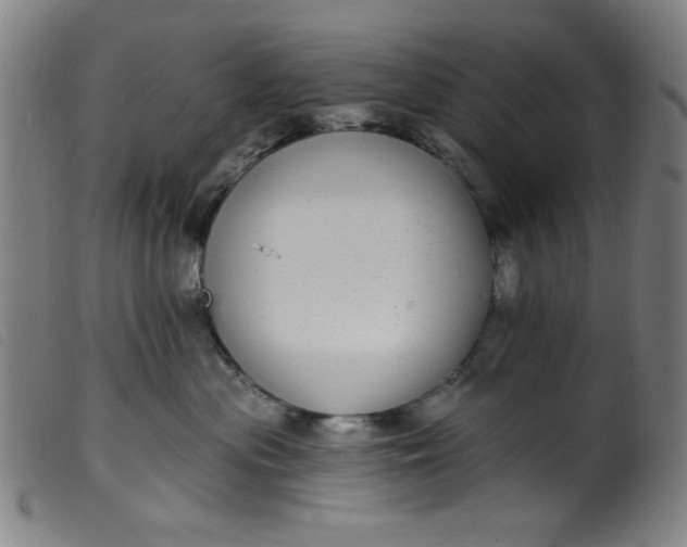 X0000099320477200805161405