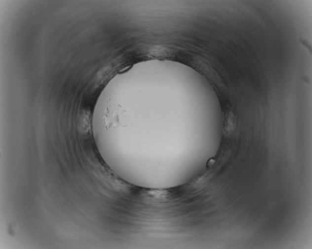 X0000099320478200805161405